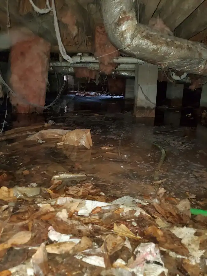 Crawl space flood assessment for Leak Detection & Repair in Lake City