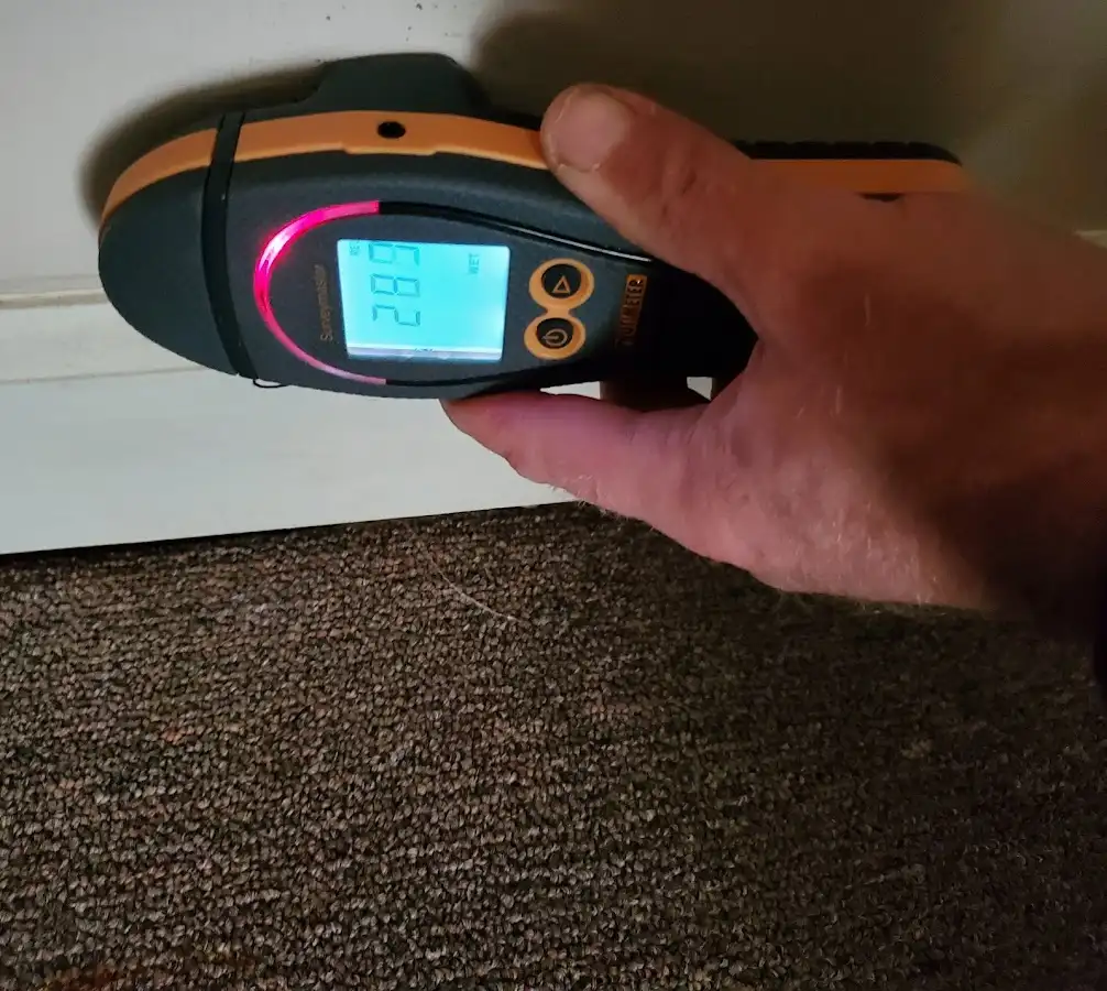 Moisture detection at baseboard during Sewage Cleanup & Sanitation in Lake City